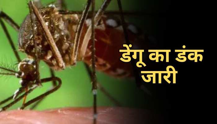 Saran News: सारण में तेजी से फैल रहा डेंगू, अस्पताल में गंदगी का अंबार Saran News: सारण में तेजी से फैल रहा डेंगू, अस्पताल में गंदगी का अंबार