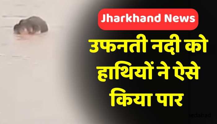 जंगली हाथियों का नदी पार करने का वीडियो हुआ वायरल, खूंटी जिले के रनिया प्रखंड का मामला जंगली हाथियों का नदी पार करने का वीडियो हुआ वायरल, खूंटी जिले के रनिया प्रखंड का मामला
