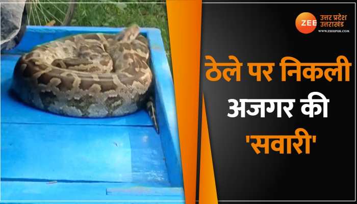 Gonda News: अजगर पर टूट पड़े ग्रामीण, फिर निकाले ठेले पर जुलूस, देखें वीडियो Gonda News: अजगर पर टूट पड़े ग्रामीण, फिर निकाले ठेले पर जुलूस, देखें वीडियो