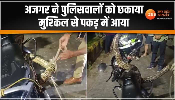 अजगर ने पुलिसवालों संग खेली लुका-छिपी, मुश्किल से पकड़ में आया- Video