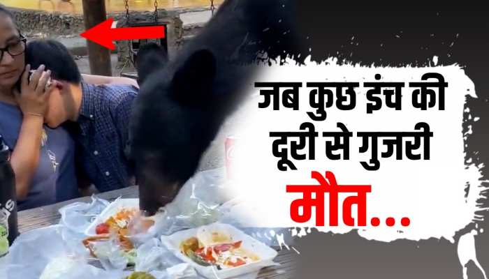 खाने के टेबल पर अचानक आ गया भयानक भालू, लोगों ने रोक के रखी अपनी सांसें ! खाने के टेबल पर अचानक आ गया भयानक भालू, लोगों ने रोक के रखी अपनी सांसें !