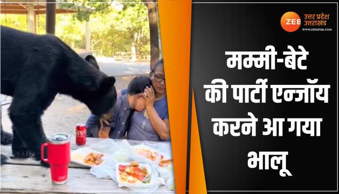 Viral Video: मां-बेटे की पार्टी में पिज्जा, बर्गर खाने आ गया भालू, देखें वीडियो