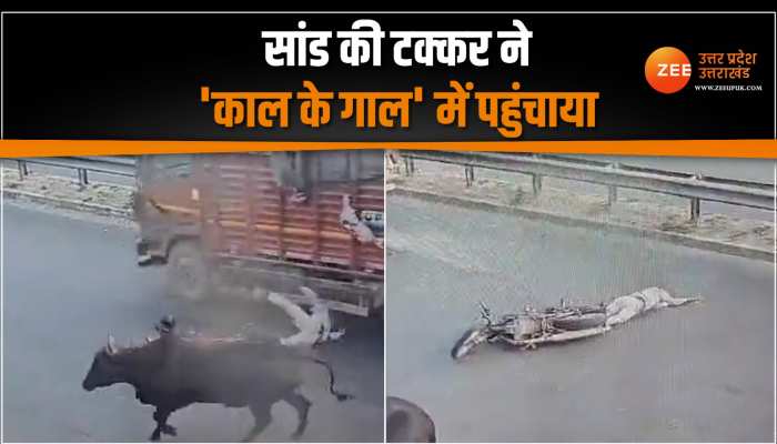 Greater Noida: सड़क पर घूमने वाले आवारा पशु बन सकते हैं मौत, बाइक चलाने वाले जरूर देखें ये वीडियो Greater Noida: सड़क पर घूमने वाले आवारा पशु बन सकते हैं मौत, बाइक चलाने वाले जरूर देखें ये वीडियो