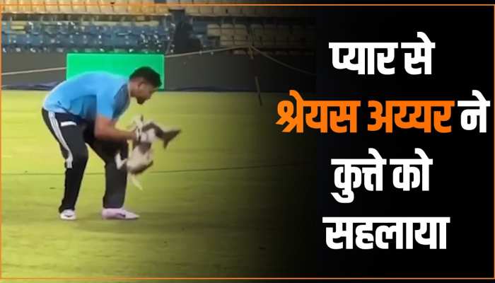 Viral Video: प्यार से श्रेयस अय्यर ने कुत्ते को सहलाया! सोशल मीडिया पर वीडियो हुआ वायरल Viral Video: प्यार से श्रेयस अय्यर ने कुत्ते को सहलाया! सोशल मीडिया पर वीडियो हुआ वायरल