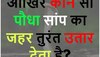 Quiz: आखिर कौन सा पौधा सांप का जहर तुरंत उतार देता है?