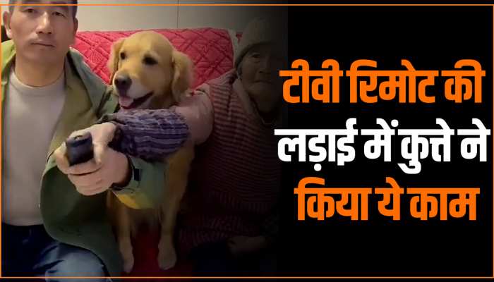 Animal Viral Video: टीवी रिमोट की लड़ाई में कुत्ते ने कर दी शख्स की पिटाई, वीडियो देख हो जाएंगे हैरान Animal Viral Video: टीवी रिमोट की लड़ाई में कुत्ते ने कर दी शख्स की पिटाई, वीडियो देख हो जाएंगे हैरान