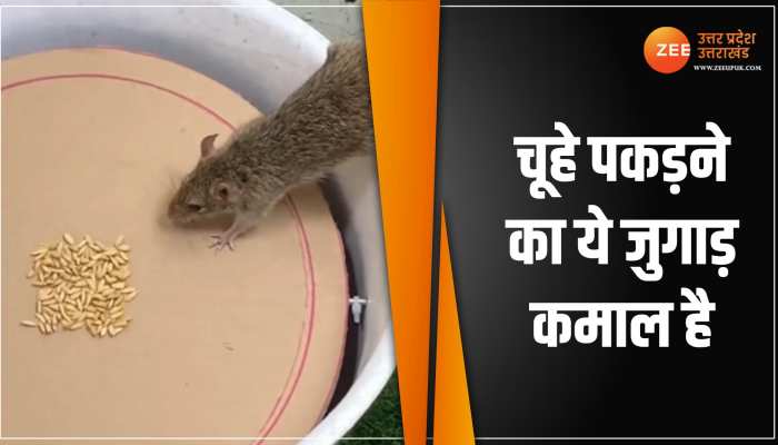 Viral Video: देखें चूहे पकड़ने का गजब आइडिया, बनाने वाले को सौ तोपों की सलामी Viral Video: देखें चूहे पकड़ने का गजब आइडिया, बनाने वाले को सौ तोपों की सलामी