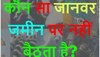 Quiz: कौन सा जानवर जमीन पर नहीं बैठता है?