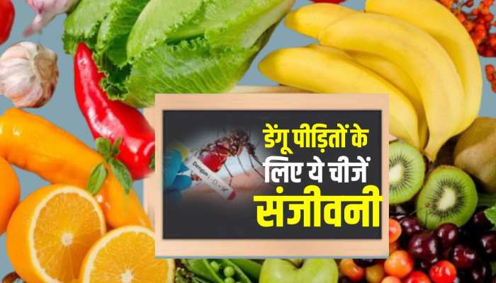 Dengue: डेंगू पीड़ित व्यक्ति को तुरंत डाइट में शामिल करनी चाहिए ये चीजें, तेजी से बढ़ेगे प्लेटलेट्स Dengue: डेंगू पीड़ित व्यक्ति को तुरंत डाइट में शामिल करनी चाहिए ये चीजें, तेजी से बढ़ेगे प्लेटलेट्स
