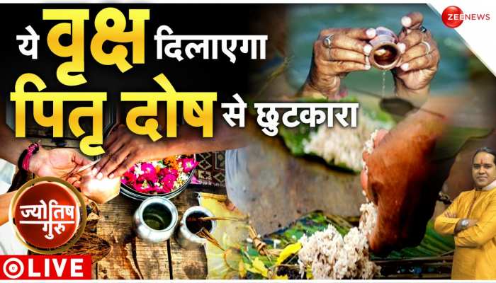 Today's Astrology: Acharya Shiromani Sachin से जानें कौनसा वृक्ष है जिससे मिलेगा पितृ दोष से छुटकारा Today's Astrology: Acharya Shiromani Sachin से जानें कौनसा वृक्ष है जिससे मिलेगा पितृ दोष से छुटकारा