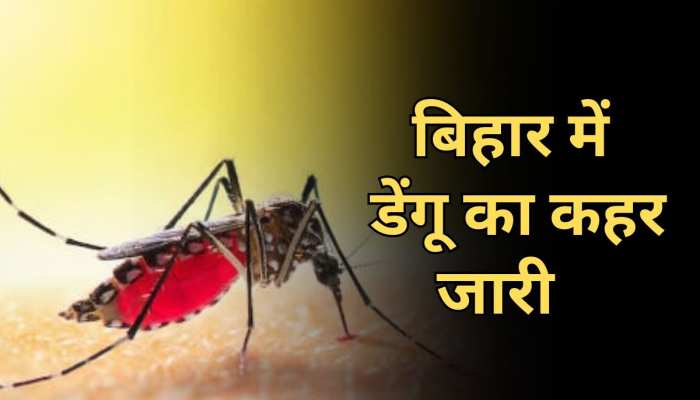 Dengue in Bihar: बिहार में डेंगू के डंक का कहर जारी, मरीजों की संख्या में लगातार हो रहा इजाफा Dengue in Bihar: बिहार में डेंगू के डंक का कहर जारी, मरीजों की संख्या में लगातार हो रहा इजाफा