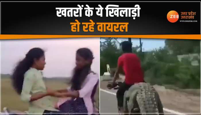 Viral Video: कोई बाइक पर ले जा रहा मगरमच्छ तो कोई खेल रहा खेल, देखिये खतरों के असली खिलाड़ी Viral Video: कोई बाइक पर ले जा रहा मगरमच्छ तो कोई खेल रहा खेल, देखिये खतरों के असली खिलाड़ी