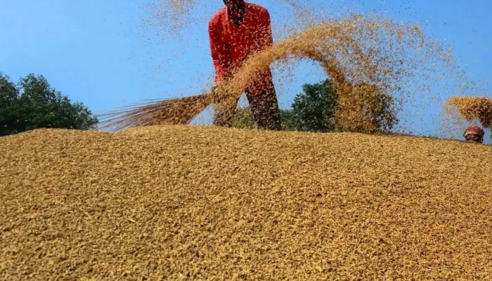 आढ़तियों और चावल मिल मालिकों का गठजोड़ क्या किसानों की जेब पर डाल रहा है डाका?