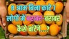 Trending Quiz : 8 आम बिना काटे 7 लोगों में कैसे बराबर-बराबर बांटेंगे?