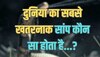 Trending Quiz : दुनिया का सबसे खतरनाक सांप कौन सा होता है?