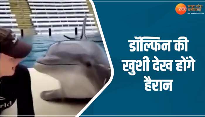 Viral Video: Kiss करने पर डॉल्फिन की खुशी देखते ही बनती है, आ जाएगी चेहरे पर हंसी