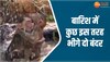 Animal Viral Video: किसी फिल्मी सीन से कम नहीं बंदरों का रोमांस, इस तरह भिगते नजर आए