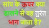 Quiz: सांप के ऊपर क्या डालने से वह तुरंत भाग जाता है?