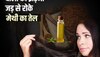 Methi Hair Oil: चुटकियों में रोकें बालों का झड़ना, घर पर आसानी से बनाएं मेथी का तेल