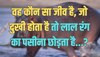 Trending Quiz : वह कौन सा जीव है, जो दुखी होता है तो लाल रंग का पसीना छोड़ता है?