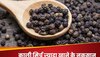 Black Pepper: सेहत के लिए अच्छा नहीं है काली मिर्च का ज्यादा सेवन, इस तरह पहुंचाता है नुकसान