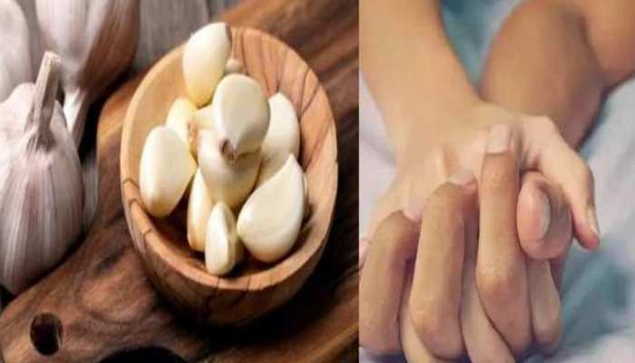 Garlic Benefits: पुरुषों की यौन समस्या का समाधान है लहसुन, फायदे जान रह जाएंगे हैरान