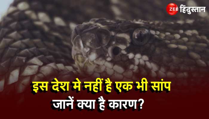 No Snake Country:  इस देश में नहीं पाया जाता एक भी सांप जानें क्यों?