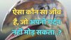 Trending Quiz : ऐसा कौन सा जानवर है, जो अपनी गर्दन नहीं मोड़ सकता?