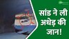 सड़क पर चल रहे शख्स को आवारा सांड ने उठाकर पटका, मौके पर ही हो गई बुजुर्ग की मौत!