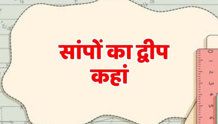 GK Questions: क्या आप बता सकते हैं ​सांपों का द्वीप कहां है? जानें ऐसे रोचक सवाल 