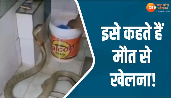 VIDEO: बाथरूम में घुसा कोबरा सांप, युवक ने पकड़कर नहलाया, वायरल हुआ वीडियो