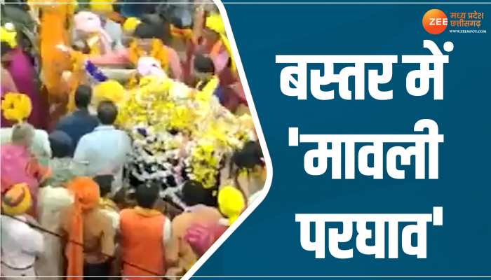 CG Video: मनाई गई 'मावली परघाव' की रस्म, माता की डोली और छत्र का हुआ स्वागत