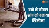 खिलौने की तरह 3 जहरीले सांपों से खेल रहा बच्चा, वीडियो आपकी धड़कनें बढ़ा देगा