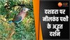 अगर दशहरा पर आपके साथ भी हुआ ये वाकया, खुल जाएगा आपकी किस्मत का ताला