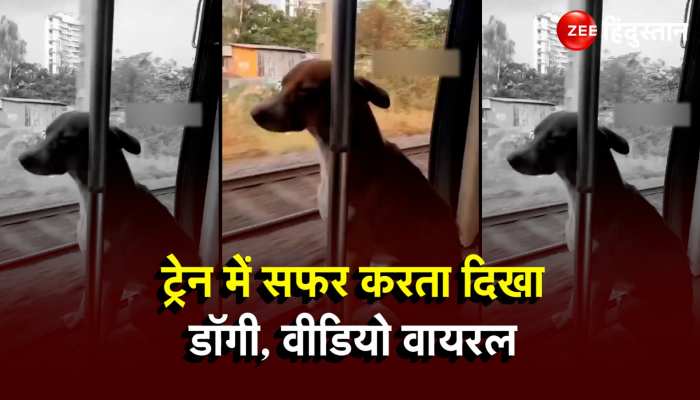 Viral Dog: पैसेंजर की तरह ट्रेन में सफर करता है ये डॉगी, हैरान कर देगा Video!