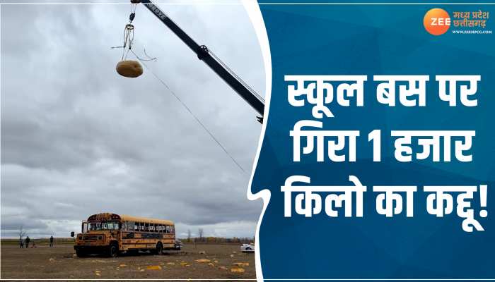 Viral Video:स्कूल बस पर गिरा 1 हजार किलो का कद्दू! वीडियो देख थर्रा उठेंगे आप Viral Video:स्कूल बस पर गिरा 1 हजार किलो का कद्दू! वीडियो देख थर्रा उठेंगे आप