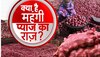 Onion Price Hike: दिवाली से पहले क्यों रुला रहा है प्याज? जानिए इसके महंगे होने का पूरा गणित