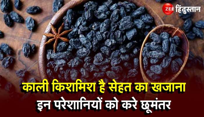 Black Raisin Benefit: सेहत के लिए रामबाण का काम करती है ये काली किशमिश