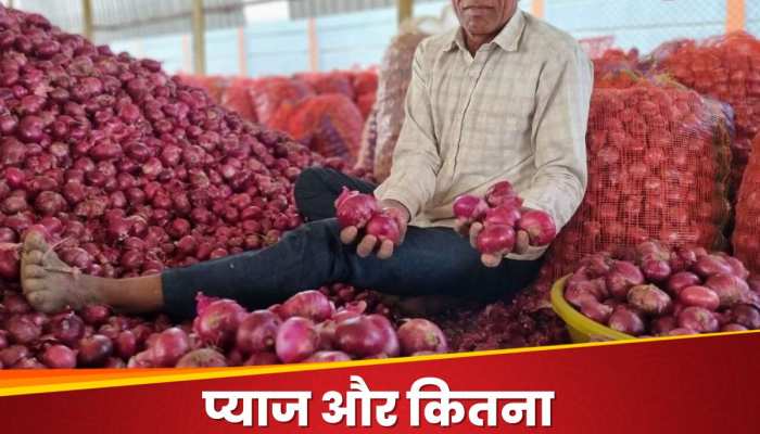 onion price hike government plan to sale onion 25 rupees per kg | Onion Price: सरकार ने दी बड़ी राहत, 80 रुपये किलो वाला प्याज सिर्फ 25 रुपये में... | Hindi News, बिजनेस