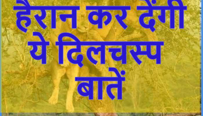 Ajab Gajab: आपको पता है चांद से भी आती है महक? हैरान कर देंगी ये दिलचस्प बातें