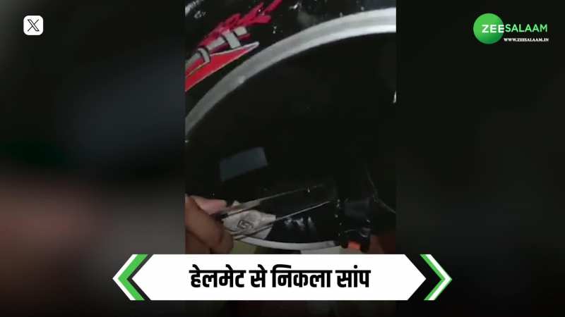 Snake inside Helmet: हेलमेट न बन जाए मौत का कारण, वीडियो देख हो जाए सतर्क