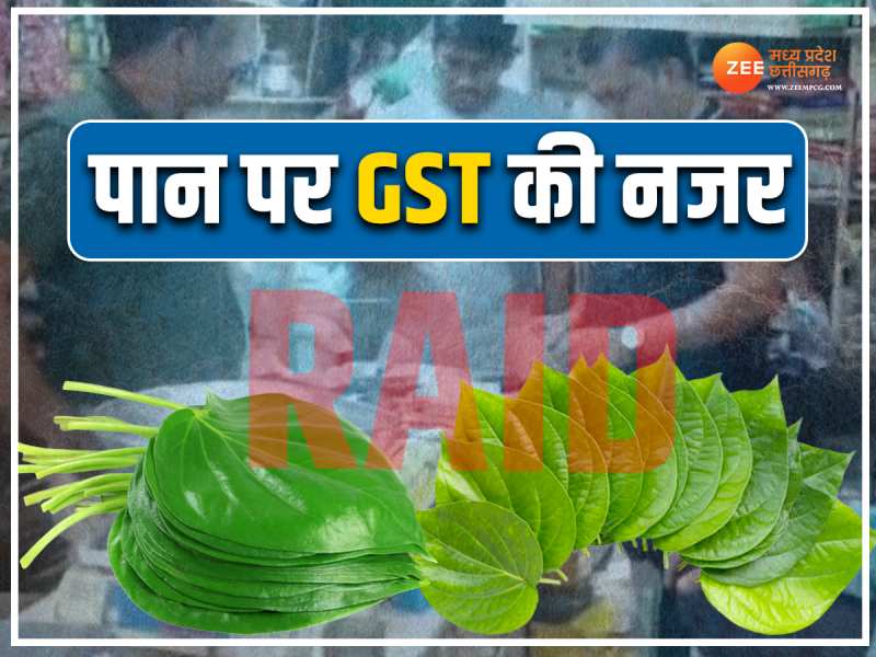 GST Raid On Paan Shop: पान से कमाया इतना माल की पड़ गया छापा, दस्तावेजों में ये राज