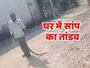 Snake Video: किचन में कुंडली मार कर बैठा था 6 फीट लंबा सांप, पकड़ते सबको नचवाया!  