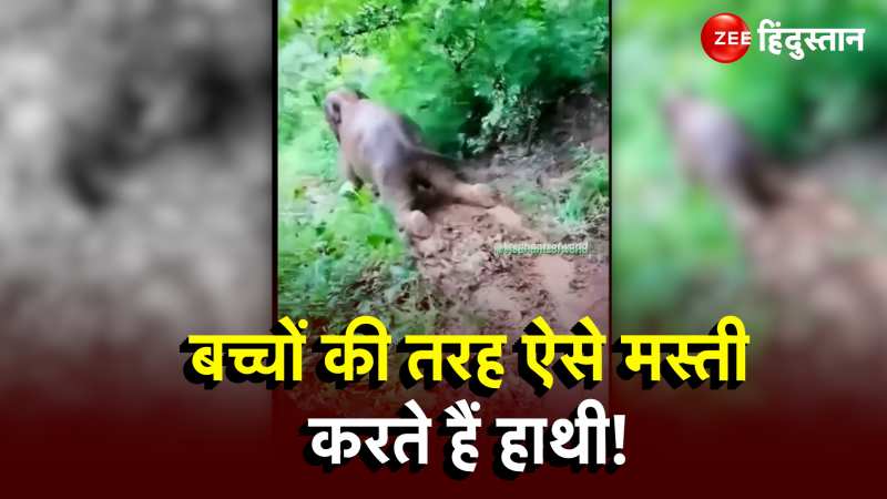 Viral: Baby Elephant की मस्ती देख आपको भी आ जाएगी हंसी!