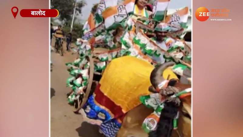 Video: चुनाव प्रचार का अनोखा तरीका, गाड़ी छोड़ बैलगाड़ी पर निकलीं महिला प्रत्याशी