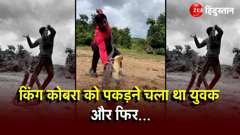 Snake Viral Video: King Cobra को पकड़ने चला था युवक और फिर...