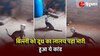 Cat Viral Video: जोर की लगी थी भूख, तभी लोटे में बिल्ली ने फंसा लिया सिर