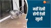 Animal Viral Video: एक मेमने ने दूसरे को धक्का मार दिखाई खुशी, कूद-कूद कर लगा नाचने 