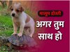 कछुए ने कराई Puppy को सवारी, क्यूट वीडियो आया सामने