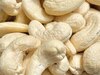 Real And Fake Cashew: कैसे करेंगे पहचान, बाजार से खरीदा काजू असली है या नकली? 